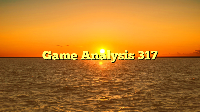 Game Analysis 317