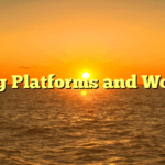 Gig Platforms and Work