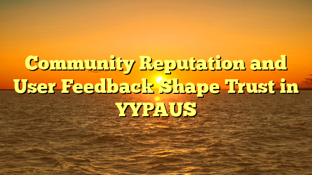 Community Reputation and User Feedback Shape Trust in YYPAUS